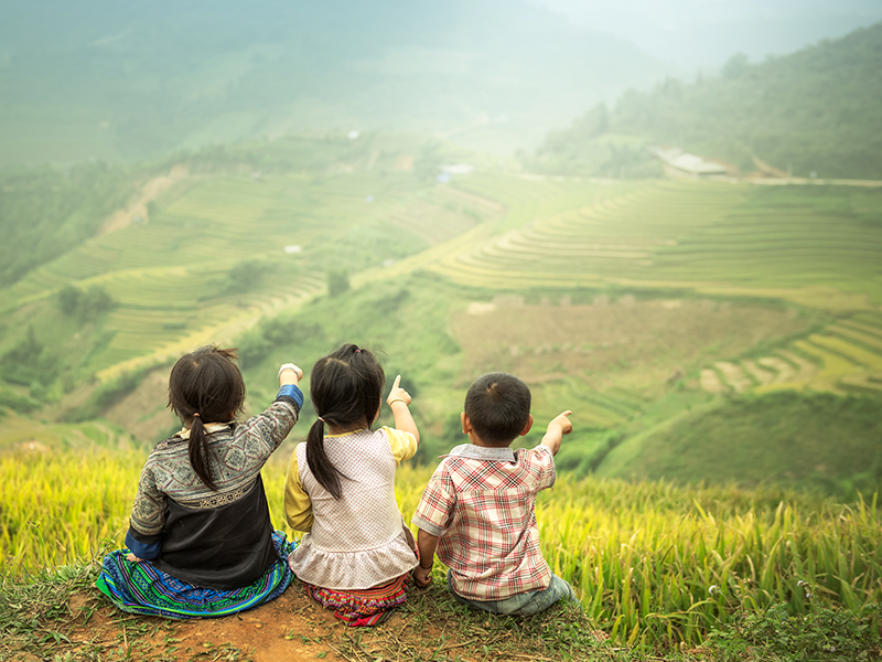 About Sapa