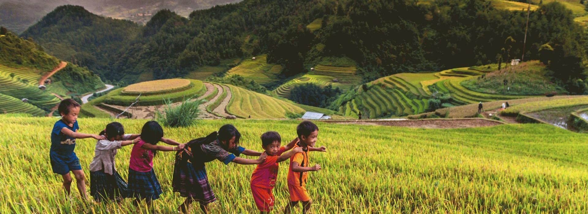Sapa tours in September to October with stunning golden terraced fields Sapa tours in September to October with stunning golden terraced fields