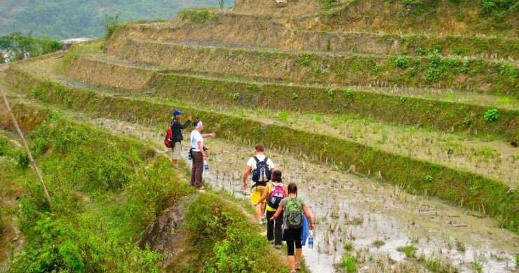 Trekking in Sapa