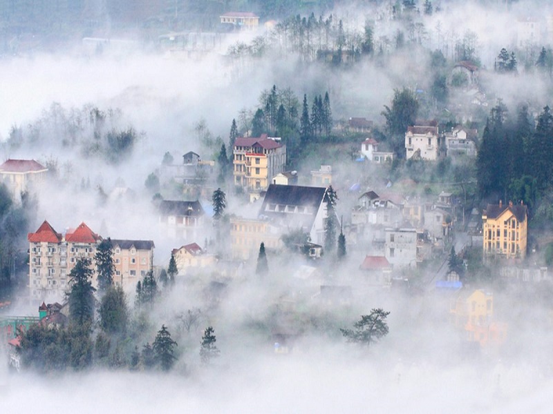 Sapa-Tours-in-Autumn-Come-to-see-the-yellow-fields5
