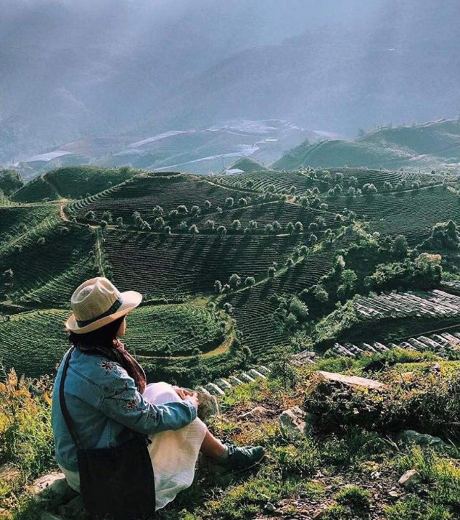 The picturesque scenery of Sapa in the golden season 2