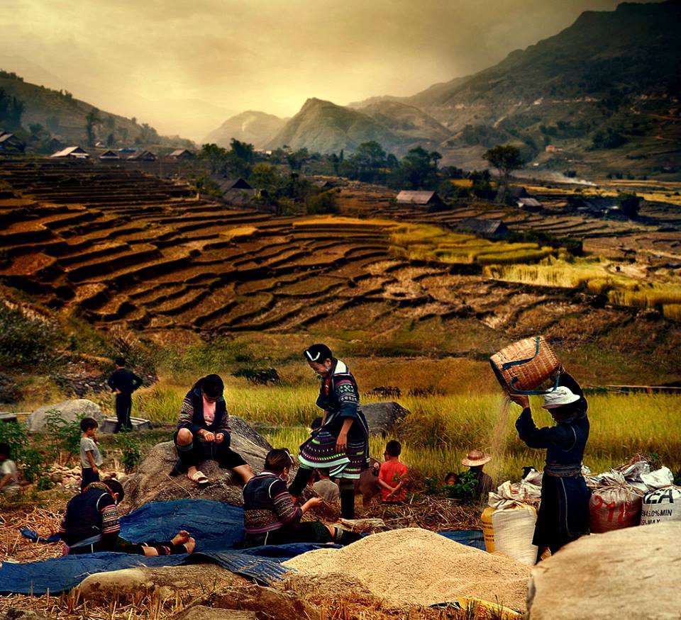 The picturesque scenery of Sapa in the golden season 3