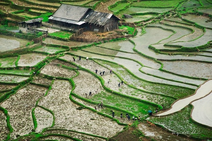 Sapa tour 2 days 3 nights 3