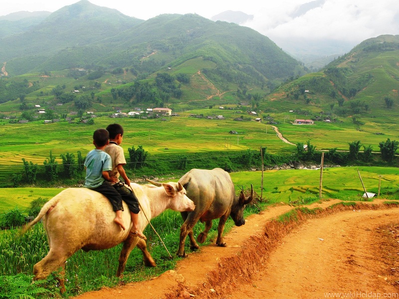 some-suggestions-for-a-sapa-1-day-tour-from-hanoi-3