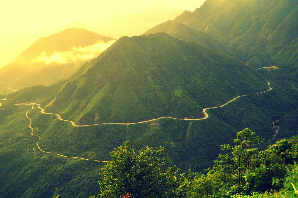 The striking beauty of Sapa in the summer 1