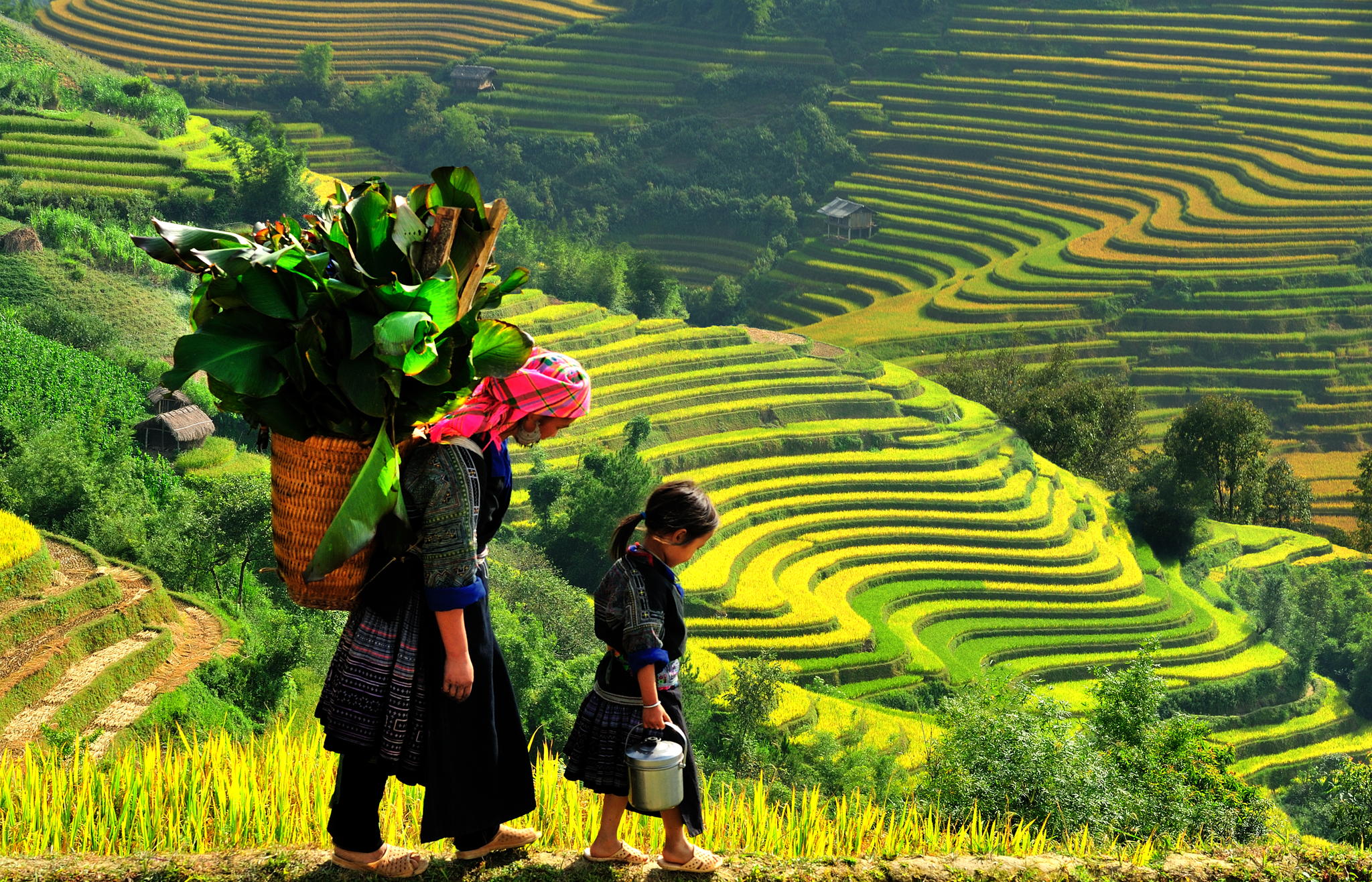 Have a wonderful Sapa tours 1 day in Ta Van Village