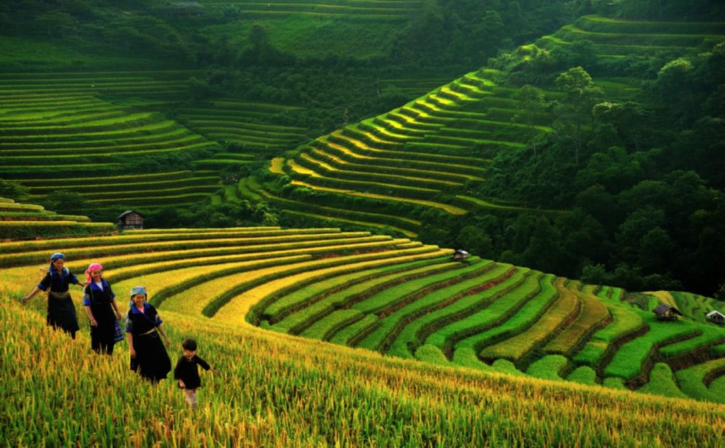Nam Cang Terrace