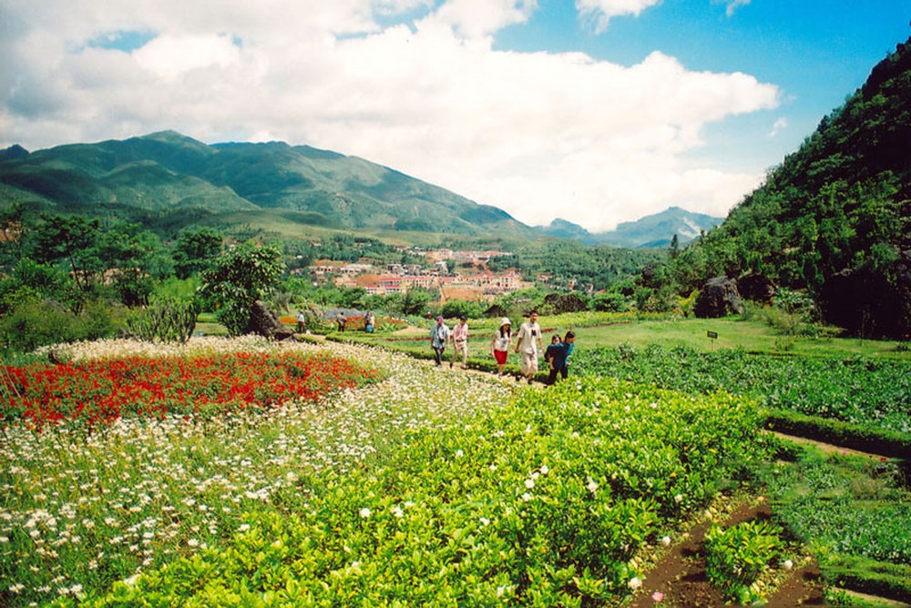 Ham Rong Flower Garden - the most attractive destination Sapa